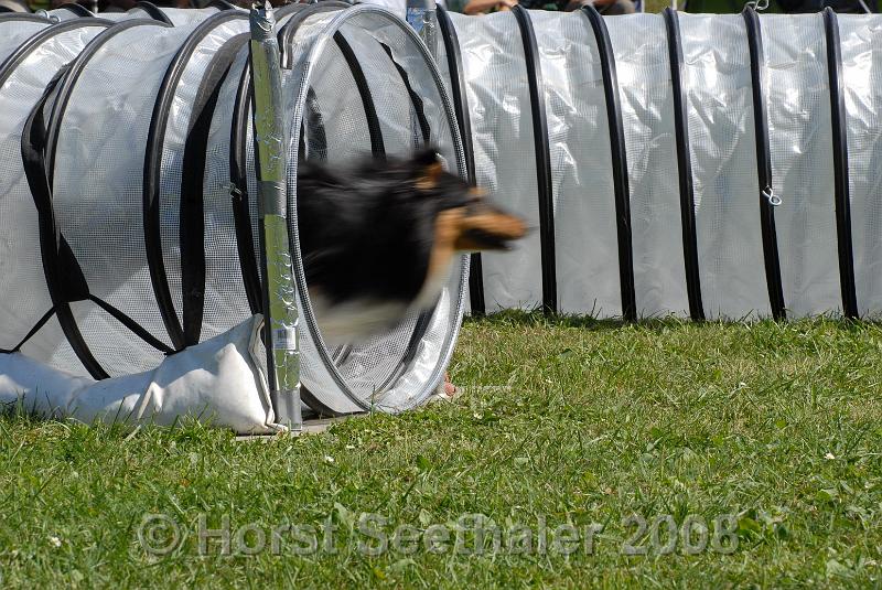 agistaats08 (80).JPG